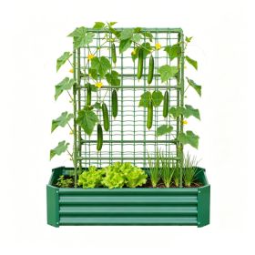 2-in-1 Raised Garden Bed With Trellis - 59inch Tall Arch Planter Box For Climbing Plants, Outdoor Galvanized Metal Gardening Bed For Vegetables, (Option: 31447120)